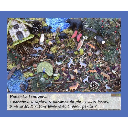 Pack 2 jeux cherche et trouve - Océan et Forêt