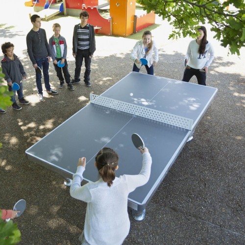 Table tennis de table park