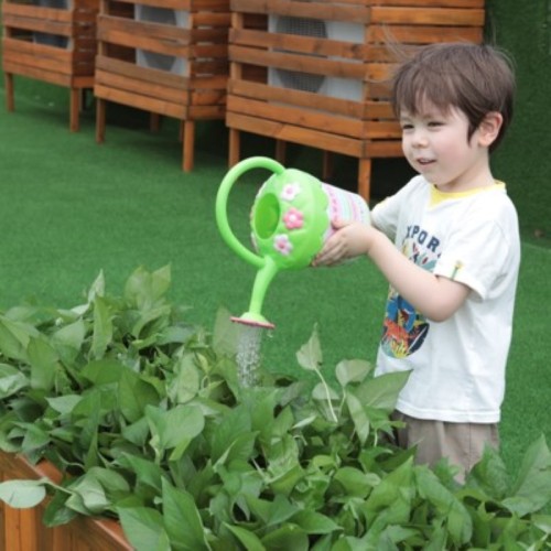 Potager surélevé pour crèche/maternelle