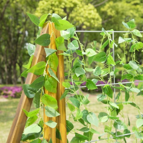 Carré potager cour d'école