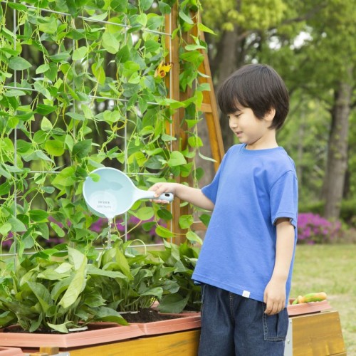 Carré potager cour d'école