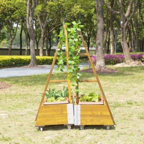 Petit carré potager cour de récréation