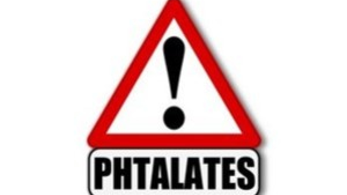 Phtalates dans les jouets pour enfants, ces substances chimiques